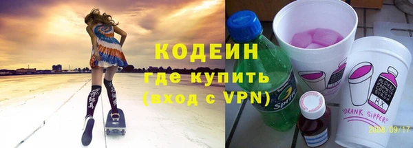 шишки Верея