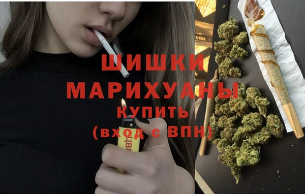 трава Бронницы