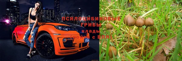 ALPHA-PVP Бугульма